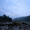 SmugMug > all-time keyword > vegetation > Forests silhouetted in blue light at dawn in Corbett